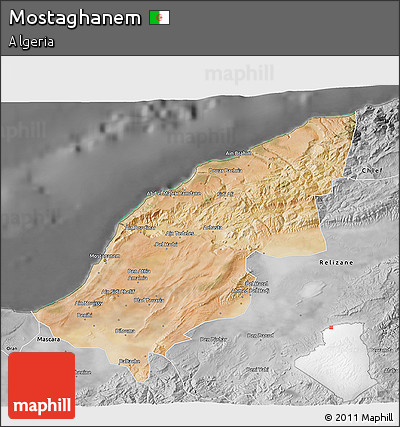 Satellite 3D Map of Mostaghanem, desaturated