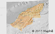 Satellite 3D Map of Mostaghanem, lighten, desaturated