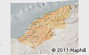 Satellite 3D Map of Mostaghanem, lighten, semi-desaturated