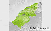 Physical Map of Mostaghanem, lighten, desaturated