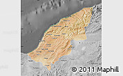 Satellite Map of Mostaghanem, desaturated