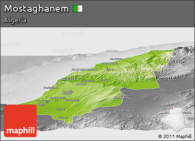 Physical Panoramic Map of Mostaghanem, desaturated