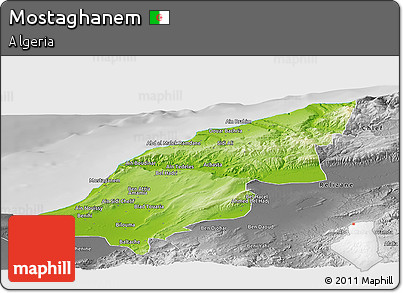 Physical Panoramic Map of Mostaghanem, desaturated