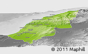 Physical Panoramic Map of Mostaghanem, desaturated