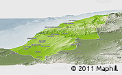Physical Panoramic Map of Mostaghanem, semi-desaturated