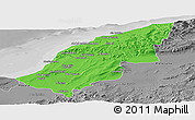 Political Panoramic Map of Mostaghanem, desaturated