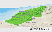 Political Panoramic Map of Mostaghanem, shaded relief outside