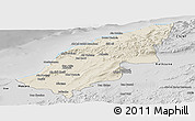 Shaded Relief Panoramic Map of Mostaghanem, desaturated