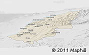Shaded Relief Panoramic Map of Mostaghanem, lighten, desaturated