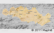 Satellite 3D Map of Oum El Bouaghi, desaturated