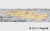 Satellite Panoramic Map of Oum El Bouaghi, desaturated