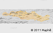 Satellite Panoramic Map of Oum El Bouaghi, lighten, desaturated