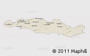 Shaded Relief Panoramic Map of Oum El Bouaghi, cropped outside