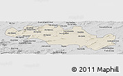 Shaded Relief Panoramic Map of Oum El Bouaghi, desaturated