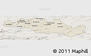 Shaded Relief Panoramic Map of Oum El Bouaghi, lighten