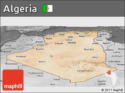 Satellite Panoramic Map of Algeria, desaturated