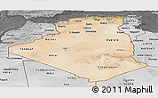 Satellite Panoramic Map of Algeria, desaturated