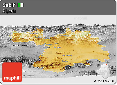Physical Panoramic Map of Setif, desaturated