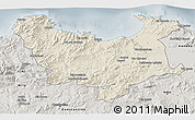 Shaded Relief 3D Map of Skikda, semi-desaturated