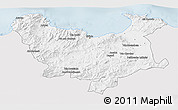 Silver Style 3D Map of Skikda, single color outside