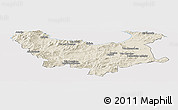 Shaded Relief Panoramic Map of Skikda, cropped outside