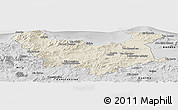 Shaded Relief Panoramic Map of Skikda, desaturated