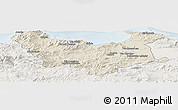 Shaded Relief Panoramic Map of Skikda, lighten