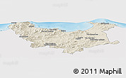 Shaded Relief Panoramic Map of Skikda, single color outside