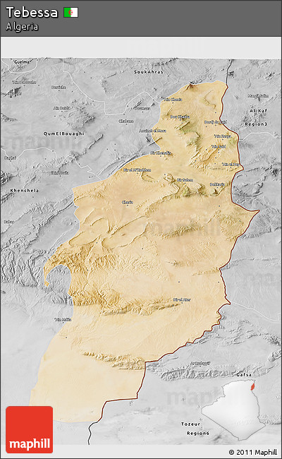 Satellite 3D Map of Tebessa, desaturated
