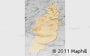 Satellite 3D Map of Tebessa, desaturated