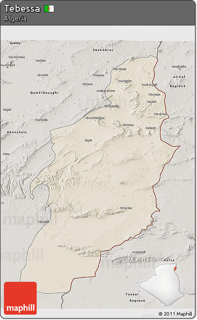 Shaded Relief 3D Map of Tebessa, semi-desaturated