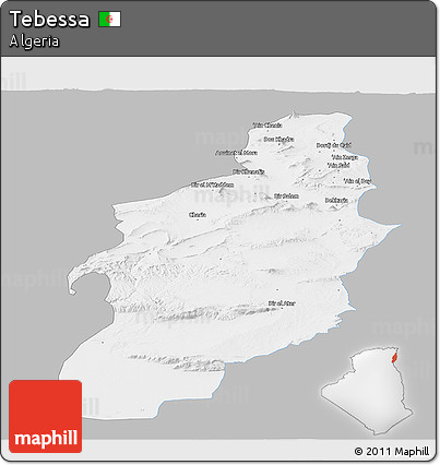 Gray Panoramic Map of Tebessa, single color outside