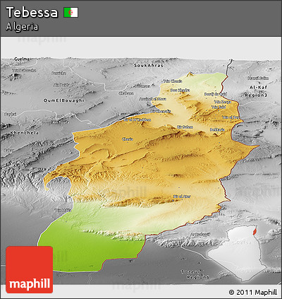 Physical Panoramic Map of Tebessa, desaturated