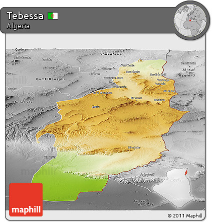 Physical Panoramic Map of Tebessa, desaturated