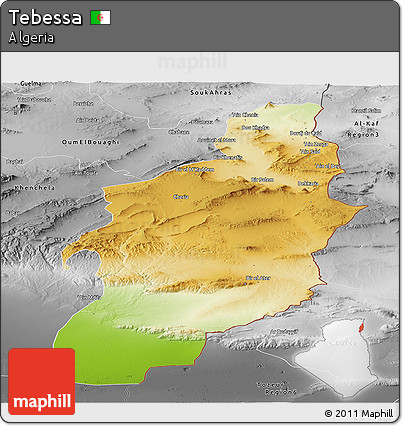 Physical Panoramic Map of Tebessa, desaturated