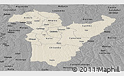 Shaded Relief Panoramic Map of Bie, darken, desaturated