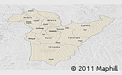 Shaded Relief Panoramic Map of Bie, lighten, desaturated