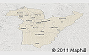 Shaded Relief Panoramic Map of Bie, lighten, semi-desaturated