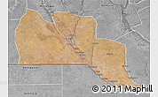 Satellite 3D Map of Cuangar, desaturated