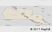 Shaded Relief Panoramic Map of Cuangar, desaturated