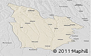 Shaded Relief Panoramic Map of Cuito Cuanavale, desaturated