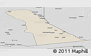 Shaded Relief Panoramic Map of Rivungo, desaturated
