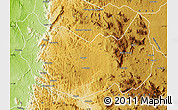Physical Map of Seles