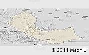 Shaded Relief Panoramic Map of Curoca, desaturated