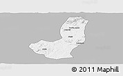 Gray Panoramic Map of Longojo, single color outside