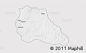 Silver Style 3D Map of Mungo, single color outside