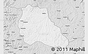 Silver Style Map of Mungo