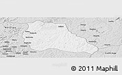 Silver Style Panoramic Map of Mungo