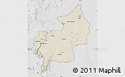 Shaded Relief Map of Chibia, lighten, desaturated