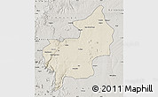 Shaded Relief Map of Chibia, semi-desaturated